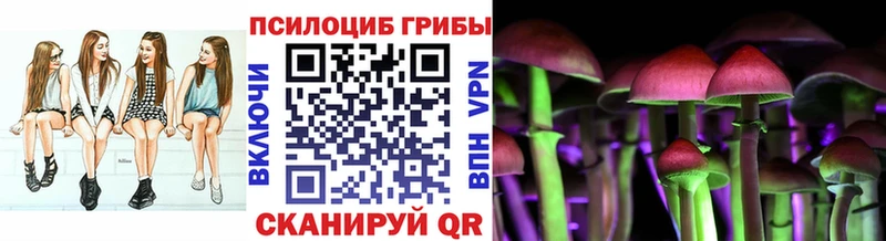 купить наркотики цена  Воронеж  Галлюциногенные грибы Cubensis 